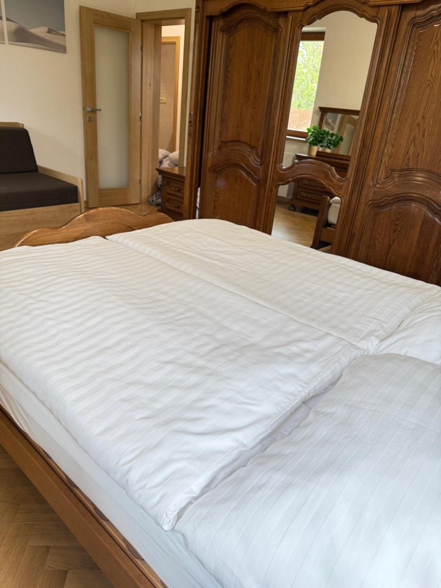 Familyvilla, New 4 Luxury Big Apartments, Parking Прага Екстериор снимка